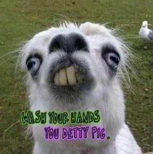 Meet your Posher, Marie-noelle